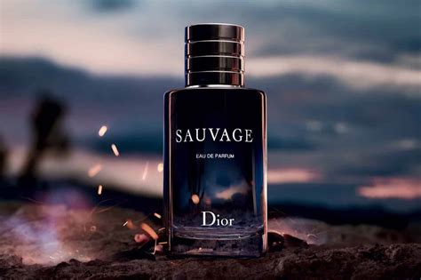 parfum sauvage dior amazon|dior sauvage best price.